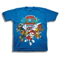 Freeze Paw Patrol Little Boys' Toddler Group T-Shirt, Royal, 2T