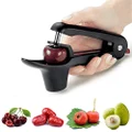 Ruibo Cherry Pitter Tool and Olive Pitter Remover Stoner Manual Kitchen Gadget Black