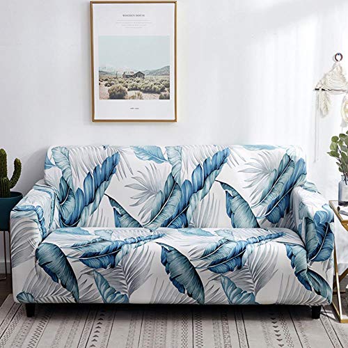 Lylac PP Screen, 4 cm x 50 cm x 180 cm Size, Blac