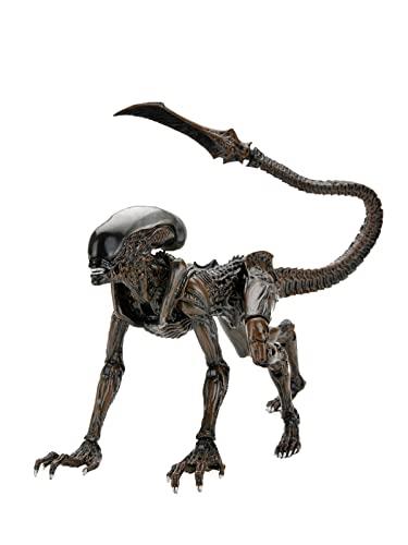 Runner Alien - 7" Scale Action Figure - Aliens Fireteam Elite - NECA Collectibles