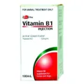 Value Plus Vitamin B1 100Ml
