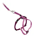 PetSafe Come with Me Kitty Harness and Bungee Leash, Harness for Cats, Large, Dusty Rose/Burgundy