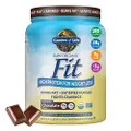 Garden of Life Organic Meal Replacement - Raw Organic Fit Vegan Nutritional Shake for Weight Loss, Chocolate, 16.3oz (1lb/461g) Powder