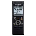 WS-883 Voice Recorder