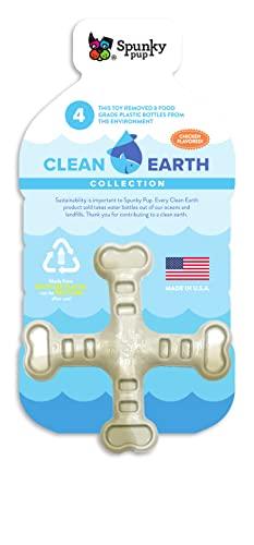 Clean Earth Recycled Crossbones