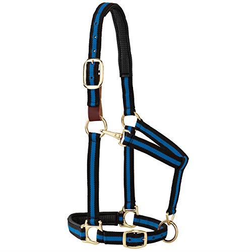 Weaver Leather 35-6065-BL Padded Breakaway Adjustable Chin & Throat Snap Halter, 1" Average Horse or Yearling Draft, Blue Striped