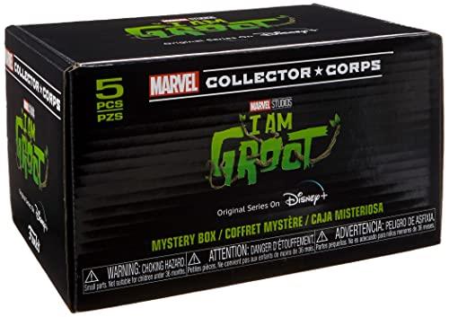 Funko Marvel Collector Corps Subscription Box, I Am Groot Disney+ Theme, L