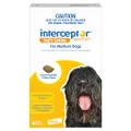 Interceptor Spectrum Heartworm & Worms for Dogs 11 - 22kg - 6 Pack