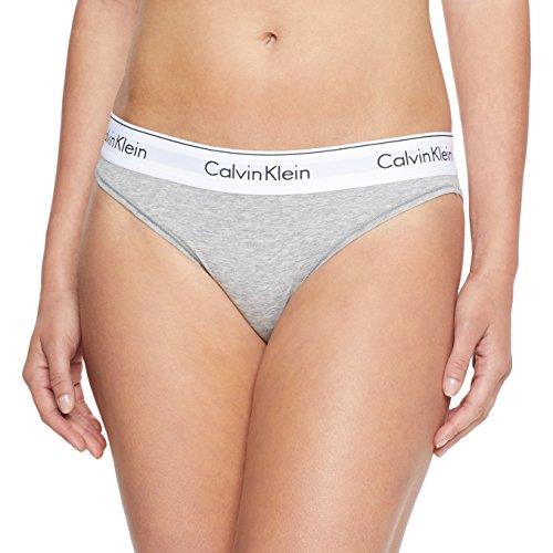 Calvin Klein Women's Modern Cotton Bikini Brief, Cement Grey, Large
