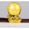 Yiwoop Golden Ball 9.8in Soccer Trophy Best Player Award Birthday Gift Card