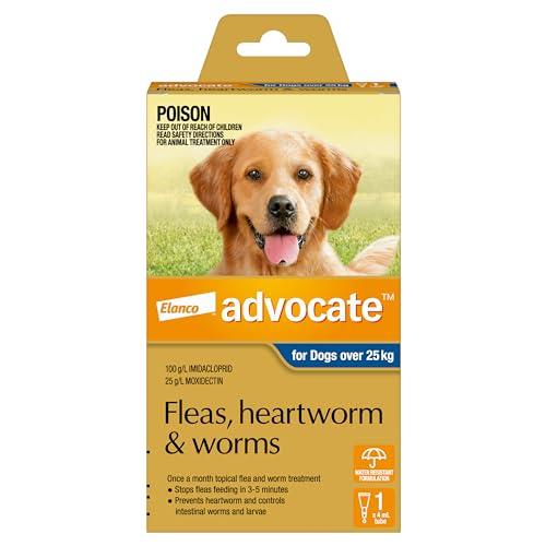 Advocate Dog, Monthly Spot-On Protection from Fleas, Heartworm & Worms, Single Pack Flea Treatment for XL Dogs Over 25 kg, 1 Pack