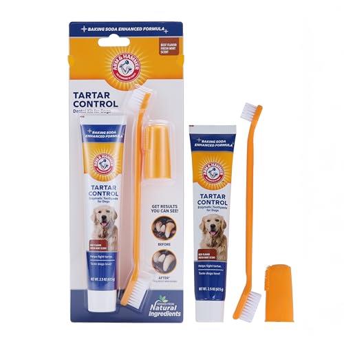 Arm & Hammer Dog Dental Care Tartar Control Kit for Dogs | Contains Toothpaste, Toothbrush & Fingerbrush | Reduces Plaque & Tartar Buildup | Safe for Puppies, 3Piece Kit, Beef Flavor