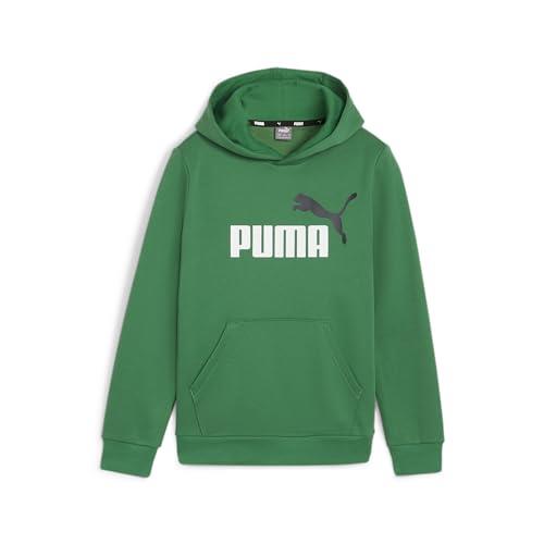 PUMA Boy's Essential + 2 Col Big Logo Hoodie FL, Archive Green, L