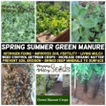 Green Manure Mix 800 Seeds