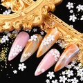 WEILUSI 2 Boxes Gold Metal Nail Studs 3D Flowers Nail Art Jewelry Decoration Hollow Mix Shapes Mini Beads Decor Manicure Tips