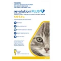 Revolution Plus for Kittens and Small Cats 1.25 to 2.5 Kg Yellow 3 Pipettes