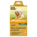 Advocate Dog, Monthly Spot-On Protection from Fleas, Heartworm & Worms, Single Pack Flea Treatment for Puppies & Small Dogs up to 4 kg, 1 Pack