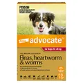 Advocate Dog, Monthly Spot-On Protection from Fleas, Heartworm & Worms, Three Pack Flea Treatment for Large Dogs 10-25 kg, 3 Pack