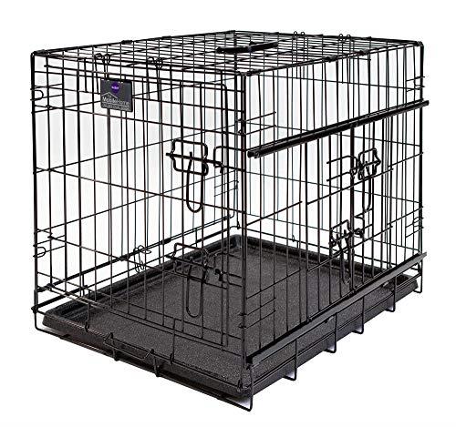 Kazoo 15350 Everyday Crate for Dogs, Medium