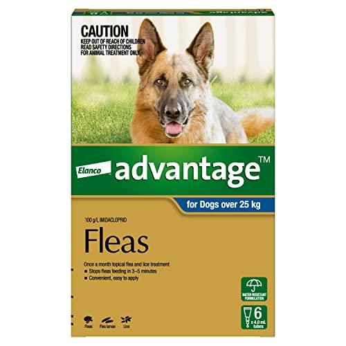 Advantage Fleas for Dogs Over 25kg - 6 Pack