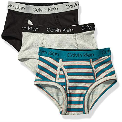 Calvin Klein Boys' Little Modern Cotton Assorted Briefs Underwear 3 Pack, Sea Green Stripe, Heather Grey, Black, Large