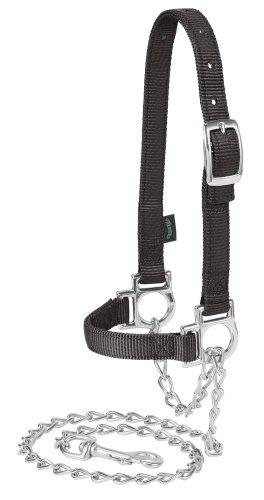 Weaver Leather Nylon Adjustable Sheep Halter with Chain Lead, Black