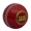 SS Poly Soft Cricket Ball, Maroon