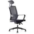Modern Furniture Argo Executive Office Chair with Headrest, Black