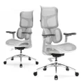 SIHOO Doro S100 Ergonomic Office Chair - with Dual Dynamic Lumbar Support, 5-Level Adjustable Backrest, 4D Coordinated Armrests, 135-degree Max. Recline Angle, Suitable for Home Office (White)