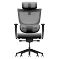 ErgoTune Supreme Ergonomic Office Chair - Adjustable Backrest Desk Chair, Lumbar Support, Headrest, 5D Armrests - High Back Breathable Durable Mesh Recline (Charcoal Black)