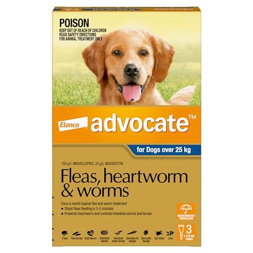 Advocate Dog, Monthly Spot-On Protection from Fleas, Heartworm & Worms, Three Pack Flea Treatment for XL Dogs Over 25 kg, 3 Pack