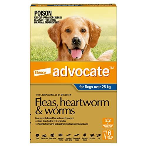 Advocate Dog, Monthly Spot-On Protection from Fleas, Heartworm & Worms, Six Pack Flea Treatment for XL Dogs Over 25 kg, 6 Pack