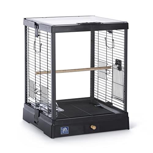 Prevue Pet Products Clear View Glass Bird Cage Crystal Palace for Small Birds - Black Frame 15.75L x 16W x 20H