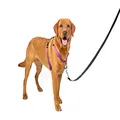 PetSafe 3 in 1 Harness and Car Restraint, Large, Plum, No Pull, Adjustable, Training for small / medium / large dogs