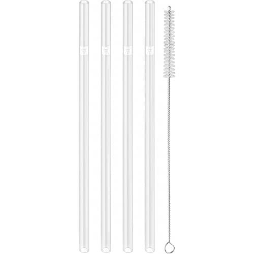 ZWILLING Sorrento 5-pc Straight Glass Straw Set - Clear