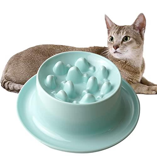 Slow Feeder Cat Bowls,Raised Cat Bowl Fun Pet Feeder Bowl Stopper,Interactive Bloat Stop Cat Feeder,Durable and Prevents Obesity Improves Digestion Pet Bowl (Mint Green, Raised Fish Bone Design)