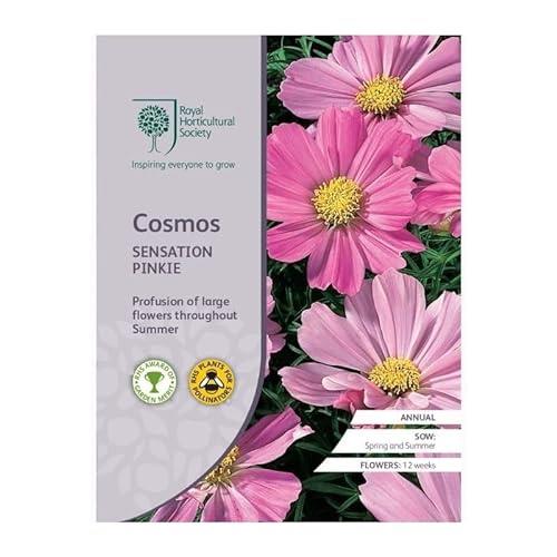 Mr Fothergill's Royal Horticultural Society Cosmos Sensation Pinkie Seeds