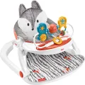Fisher-Price Portable Baby Chair Premium Sit-Me-Up Floor Seat with Snack Tray and Toy Bar, Plush Seat Pad, Peek-a-Boo Fox