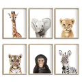 Set of 6 Baby Safari Nursery Wall Decor - Picture Cute Animal Wall Prints on Canvas, under 20 dollars gifts for Baby Boys and Girls Room, UNFRAMED Wall Art(8 x 10 inch)
