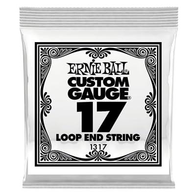 Ernie Ball 0.017 Gauge Loop End Stainless Steel Plain Banjo or Mandolin Guitar Strings (Pack of 6)