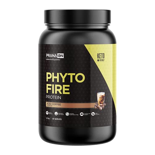 PranaON Phyto Fire Protein Powder
