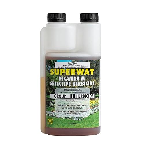 Superway Herbicide Superway Dicamba-M Selective Weed Killer 1 Litre
