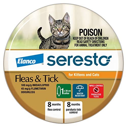 Seresto Flea and Tick Collar for Cats, Orange, 1 Count (1 Pack) 2239496