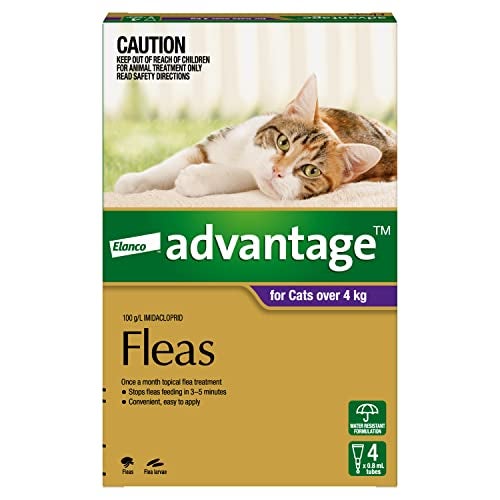 Advantage Fleas for Cats Over 4kg - 4 Pack