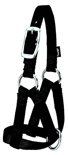 Weaver Leather Goat Halter, Black, 3/4-Inch