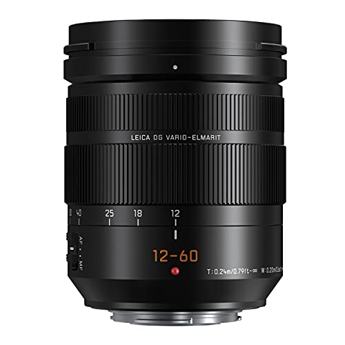 PANASONIC LUMIX G Leica DG Vario-ELMARIT Professional Lens, 12-60MM, F2.8-4.0 ASPH., MIRRORLESS Micro Four Thirds, Power O.I.S., H-ES12060 (USA Black)