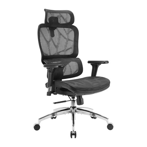 SIHOO M56B Ergonomic Office Chair, High Back Desk Chair, Lumbar Support, Swivel Computer Task Chair with Adjustable Headrest, Tilt Function,Black