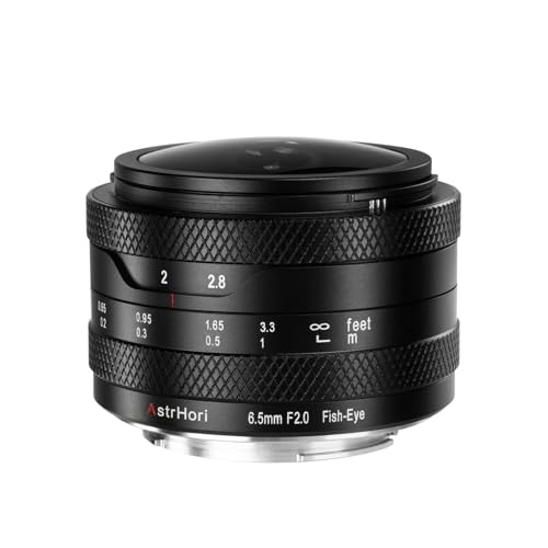 AstrHori 6.5mm F2.0 APS-C 192° Ultra Wide Circular Fisheye Lens Manual Focus Lens for Sony E Mount Mirrorless Cameras A6000 A6300 A6500 NEX-6 NEX-7 RX100, A7 A7S A7R II