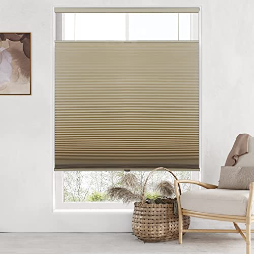 LazBlinds Top Down Bottom Up (TDBU) Cordless Cellular Shades, Blackout Light Blocking Honeycomb Shades Thermal Insulation Noise Reduction Blinds for Windows, 23" W x 48" H, Brown