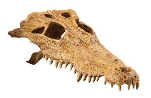 Exo Terra Reptile Skull Hide crocodile